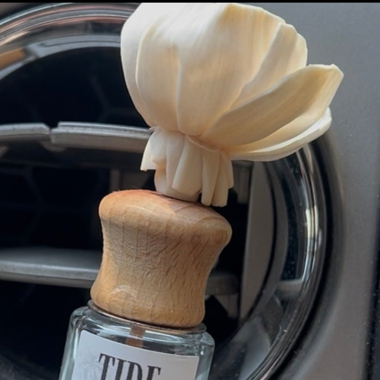 Car Air Fresheners - Southern  E-Scentuals