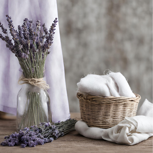 Cotton Blossom candle and home fragrance collection