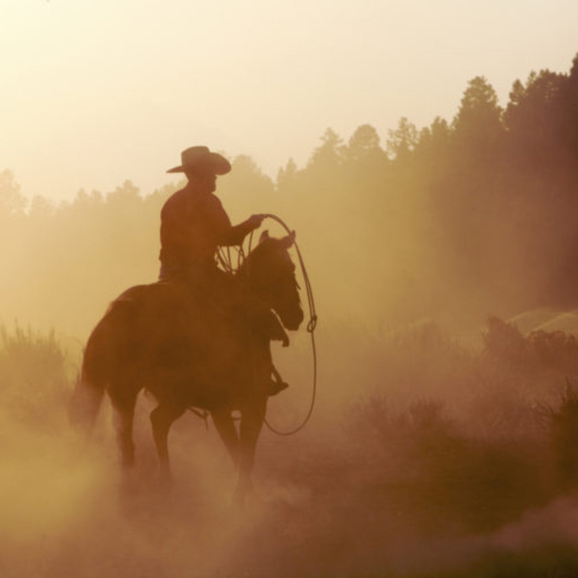 True Grit