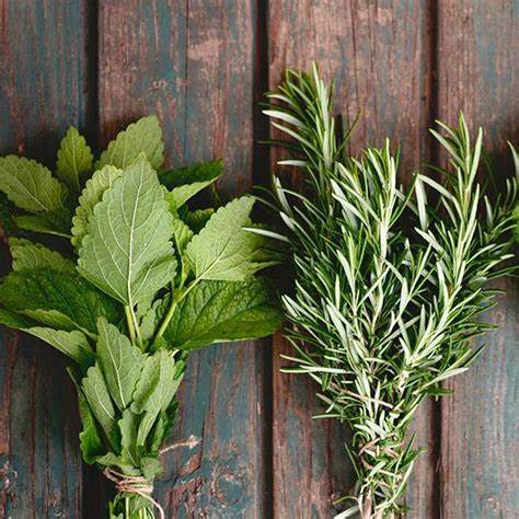 Rosemary Mint handmade soy candle in multiple jar styles